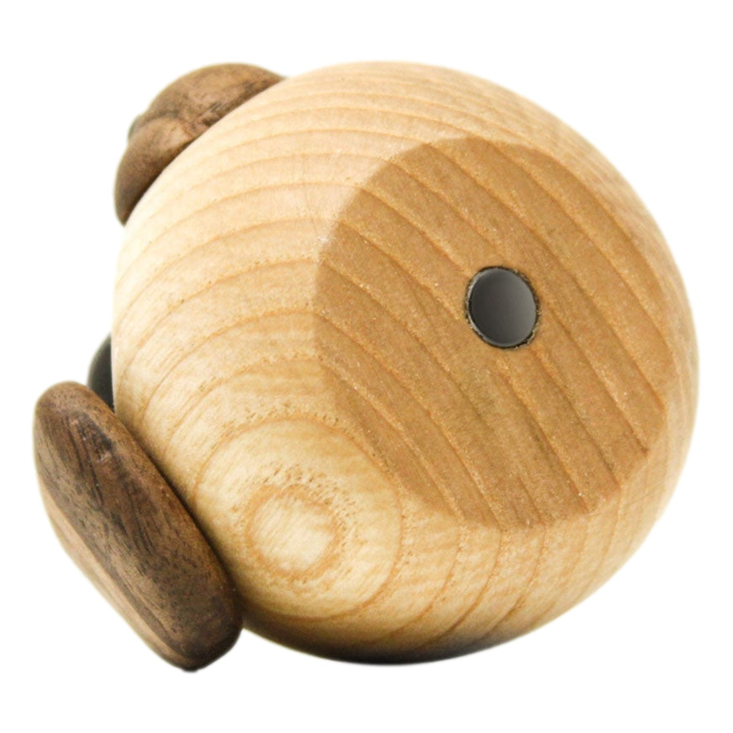 Molly The Little Dog By Fablewood