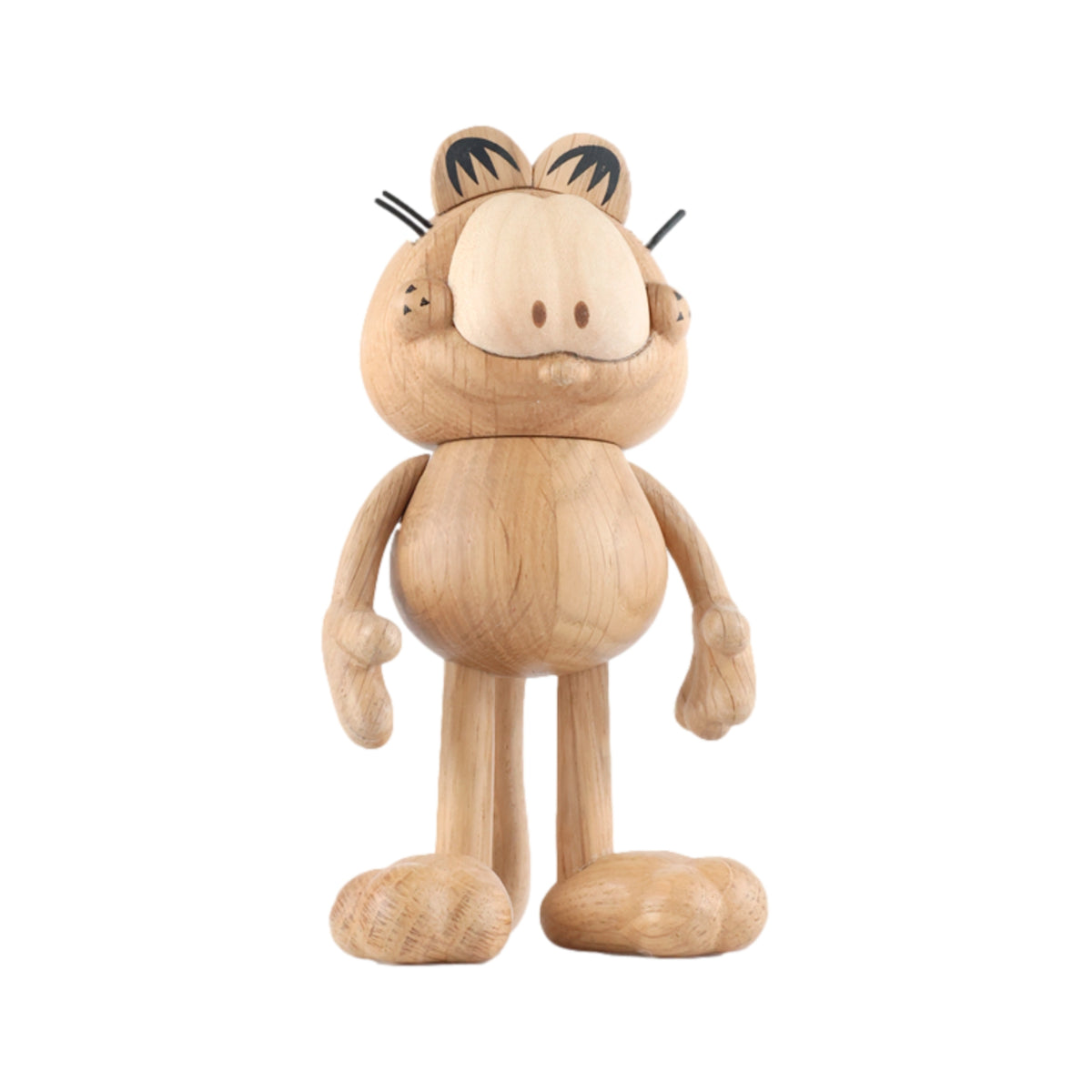 Garfield (Small) By Boyhood