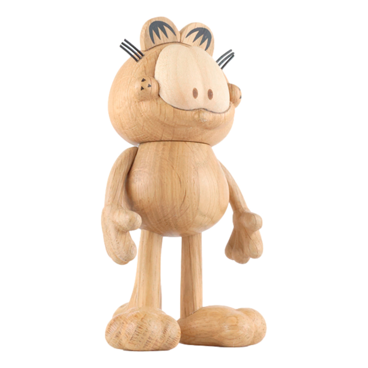 Garfield (Small) By Boyhood