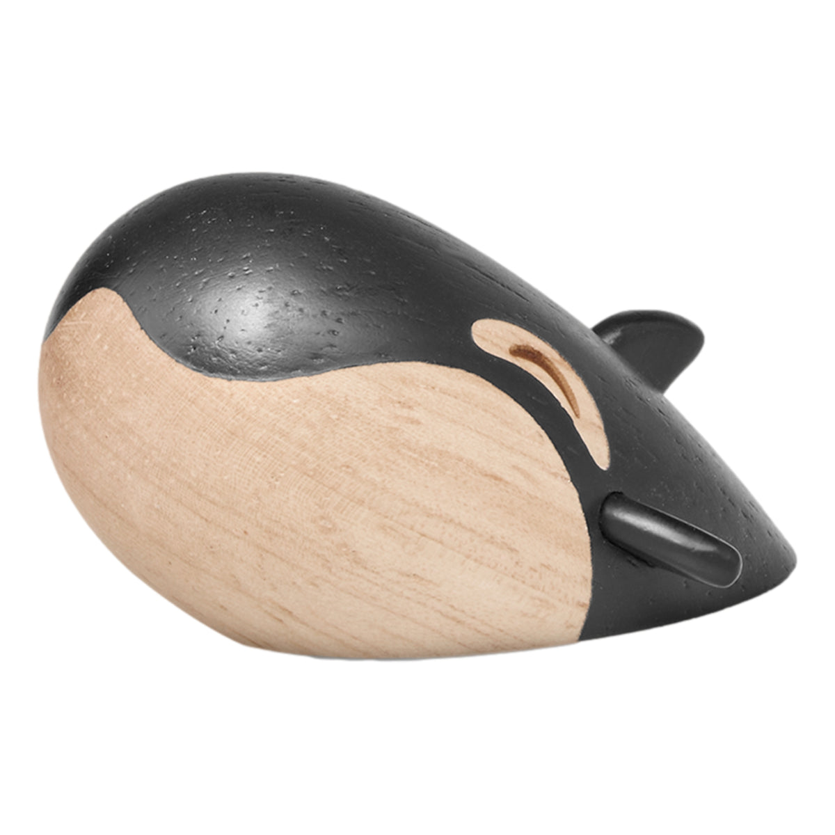 Hansen The Small Orca By Fablewood