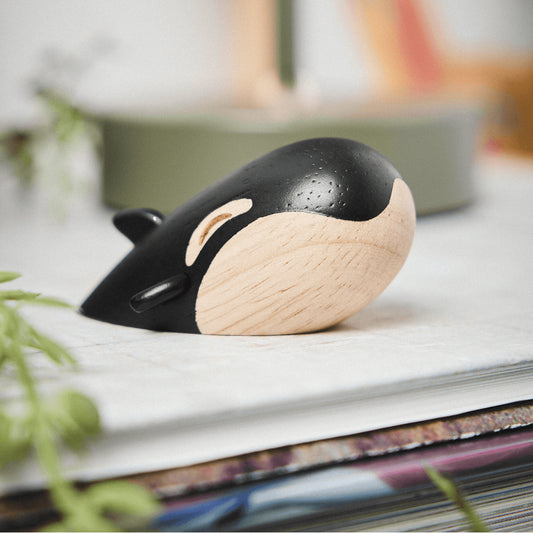 Hansen The Small Orca By Fablewood