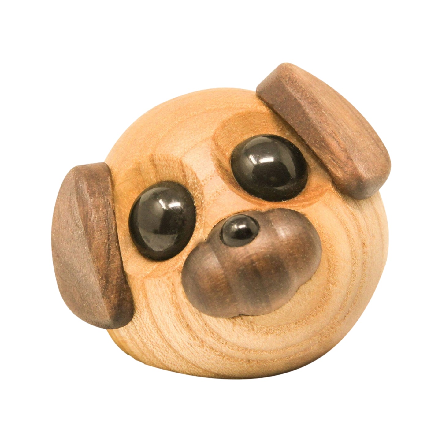 Molly The Little Dog By Fablewood