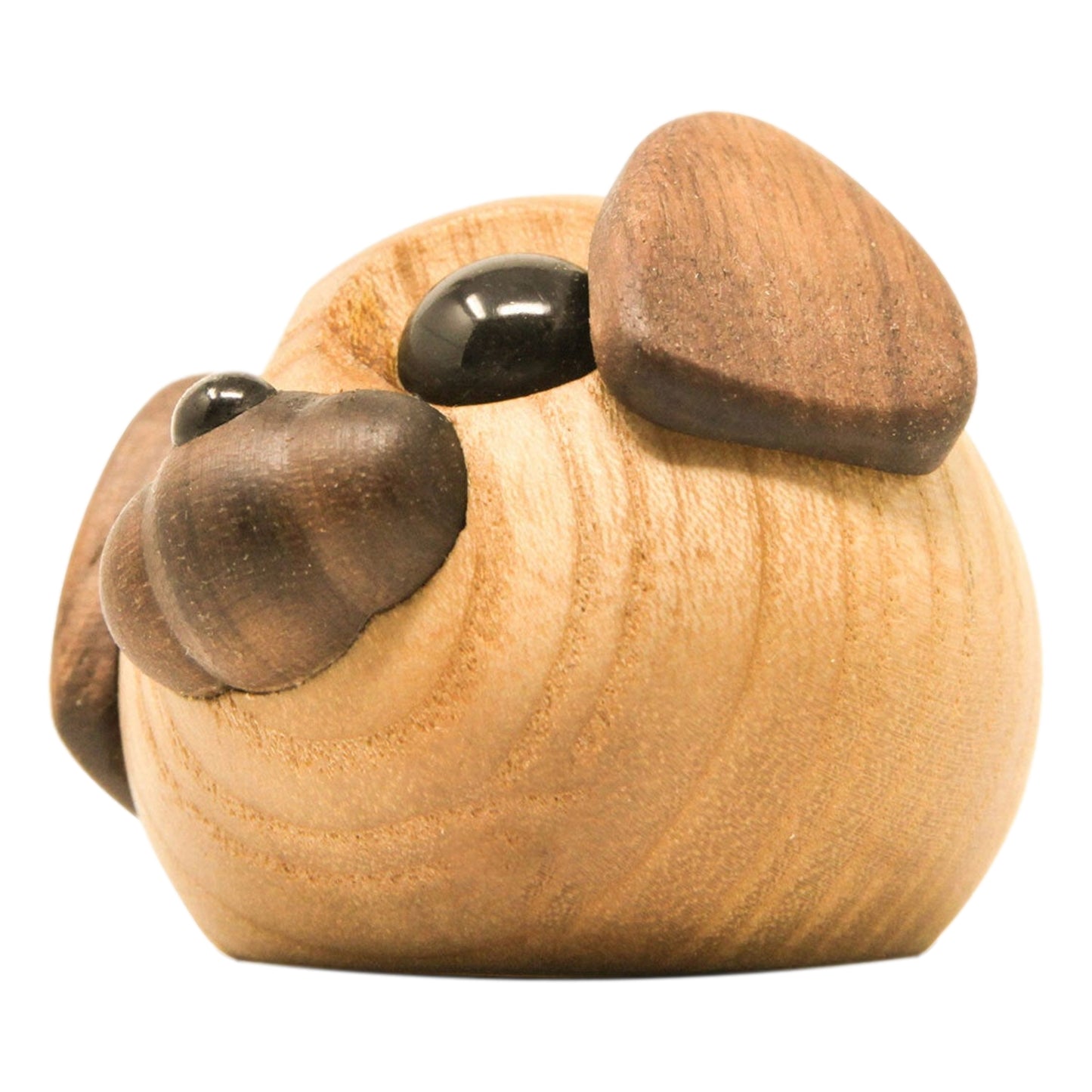 Molly The Little Dog By Fablewood