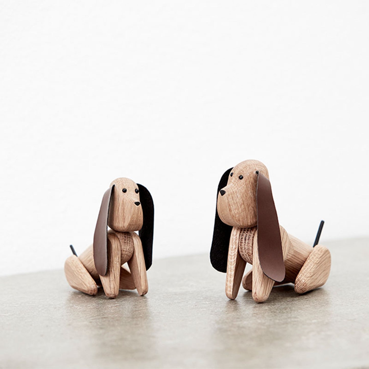 Mein Hund Louise Siig