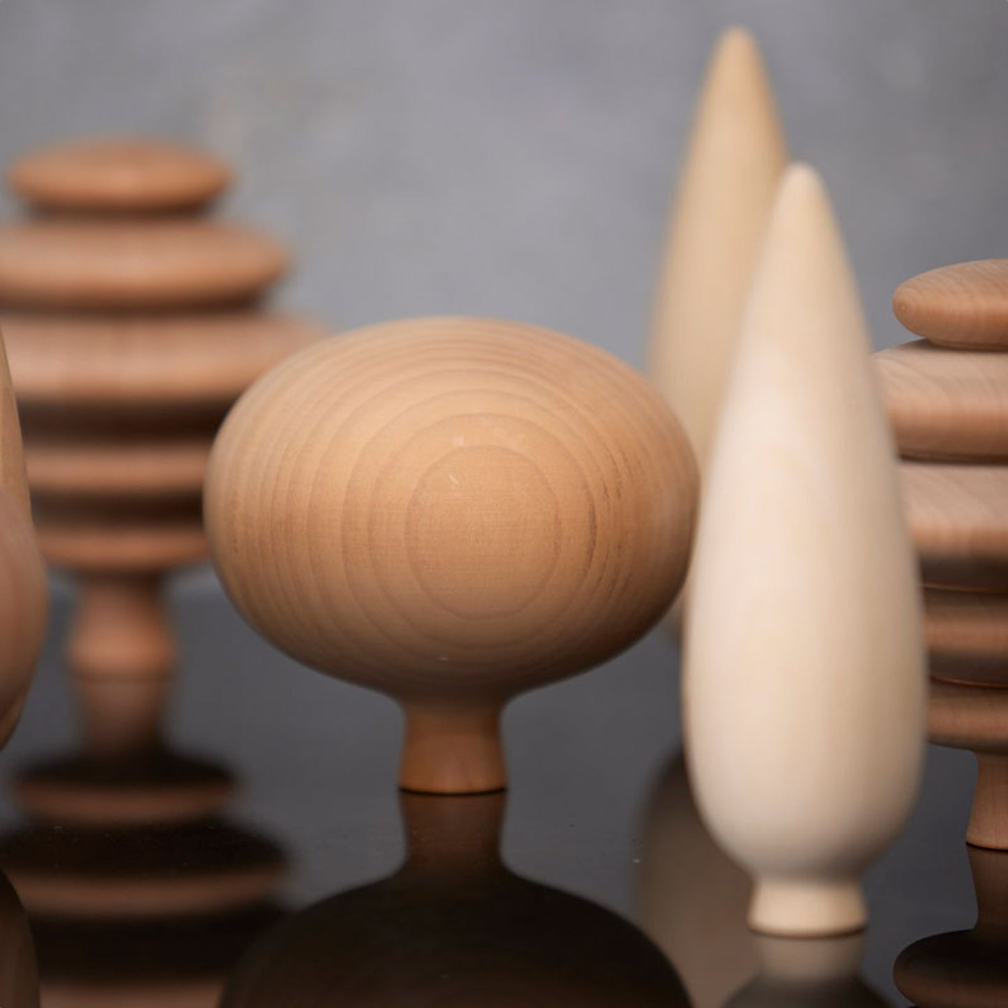 My Tree Oak By Amalie Kallesøe Bergholdt